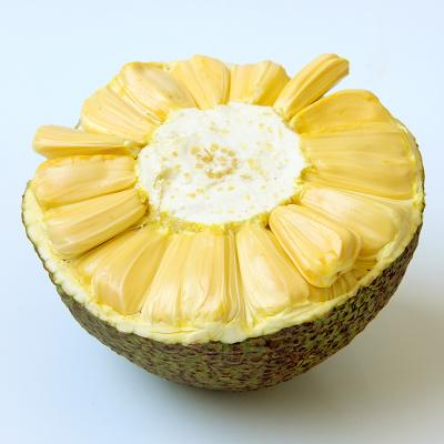 海南菠萝蜜16-18斤 1个装